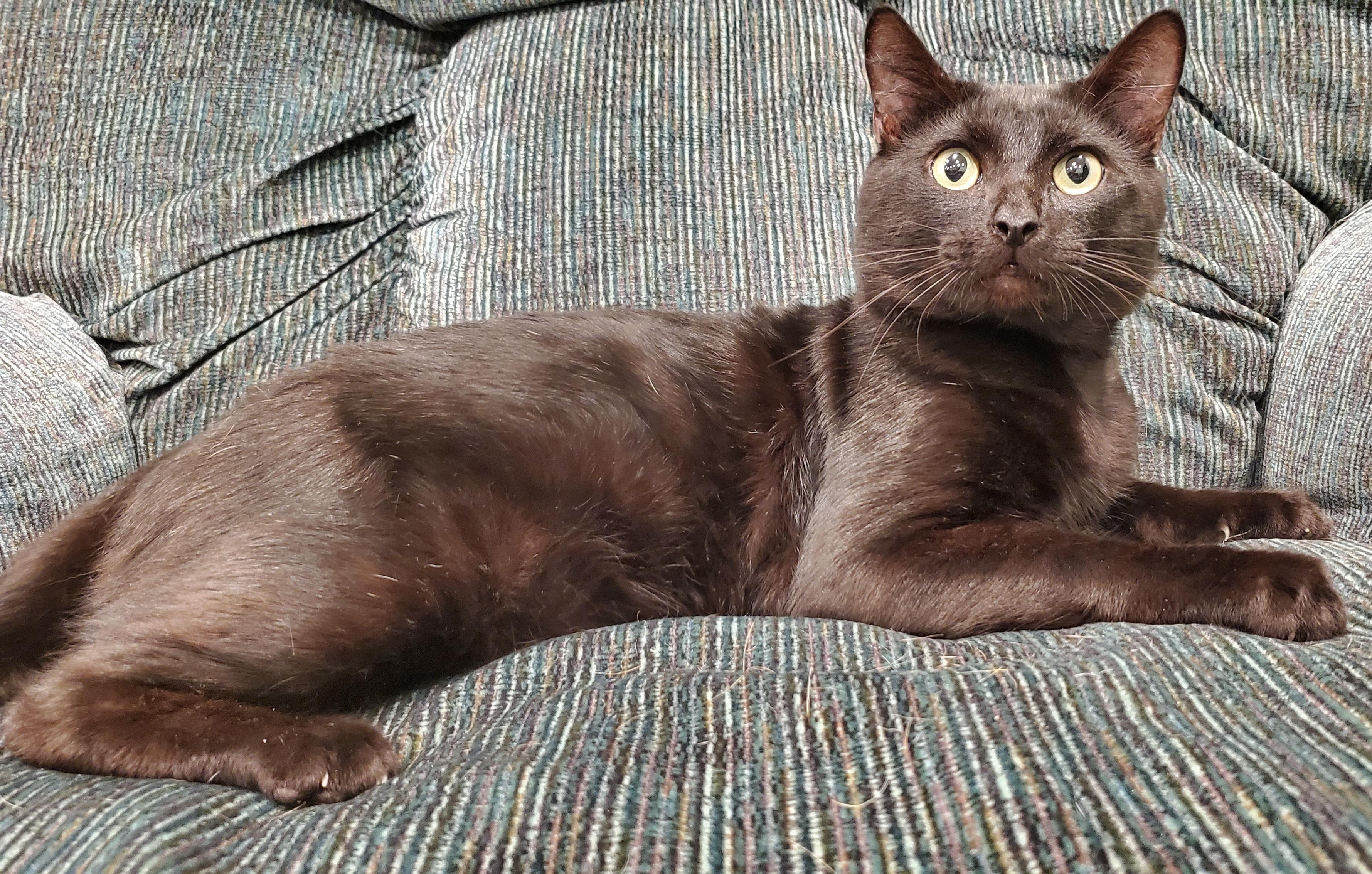 Marty - Handsome and Grateful