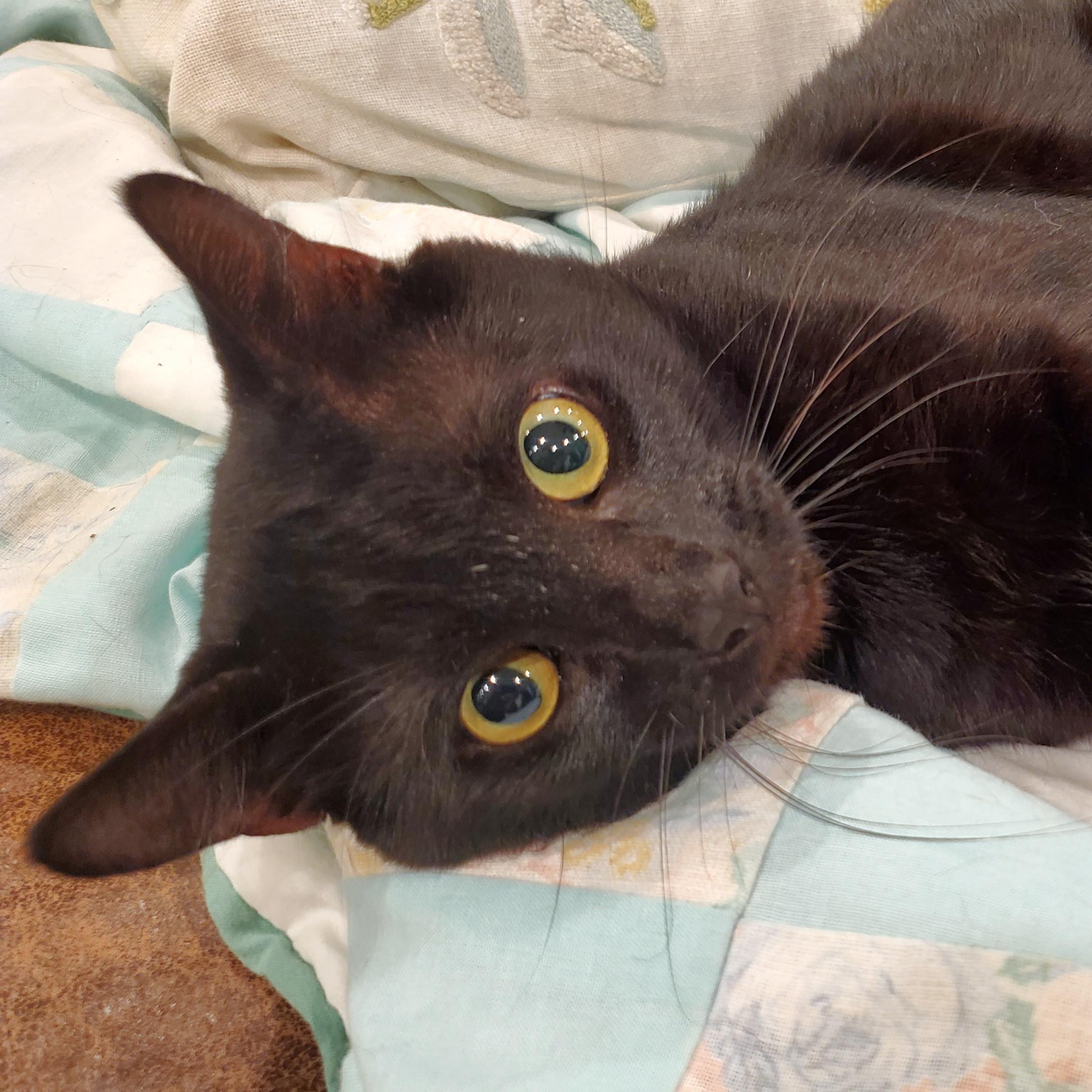 Marty - Handsome and Grateful