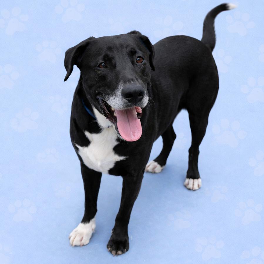 Benjamin — thumbnail 2