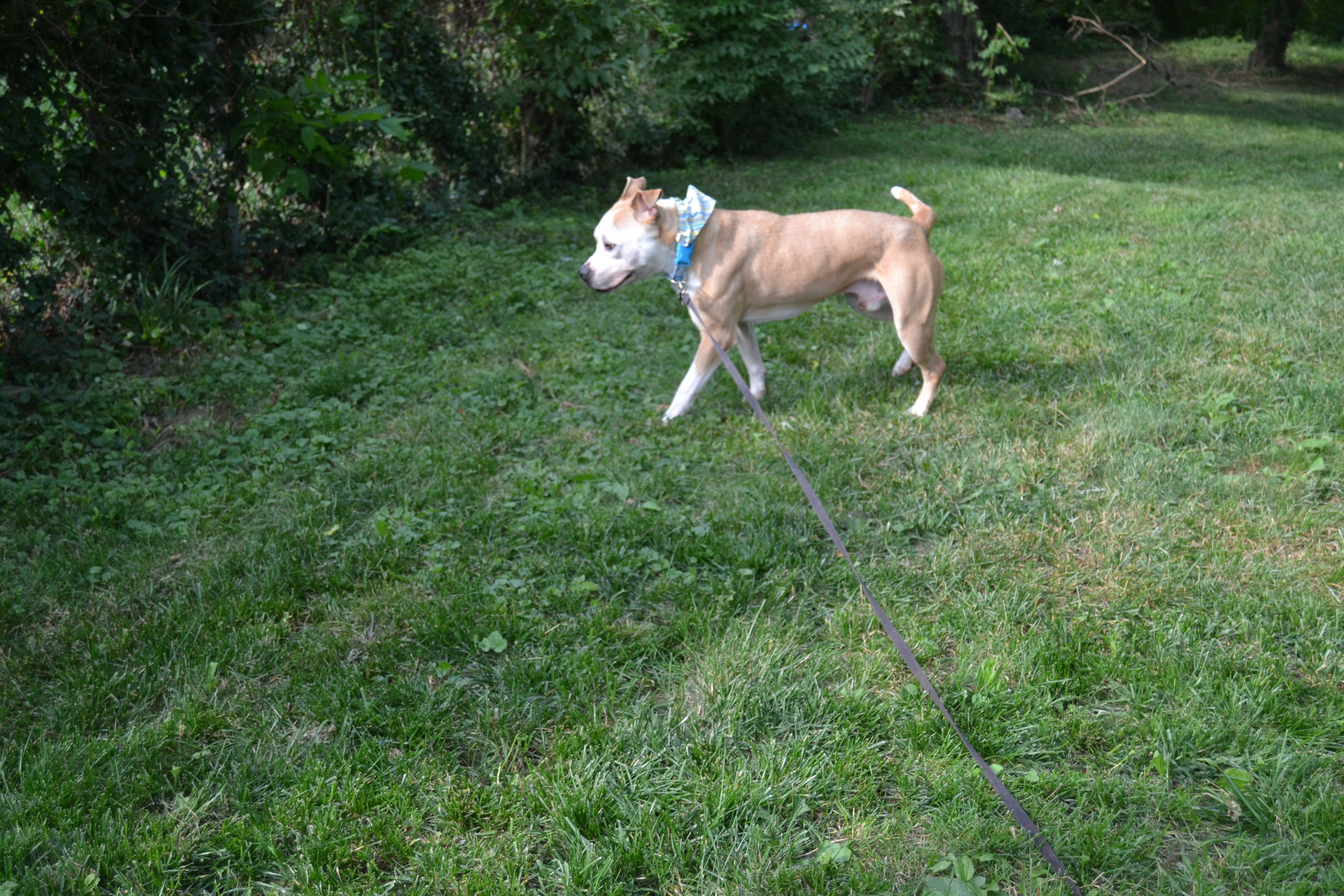 Jace photo 3