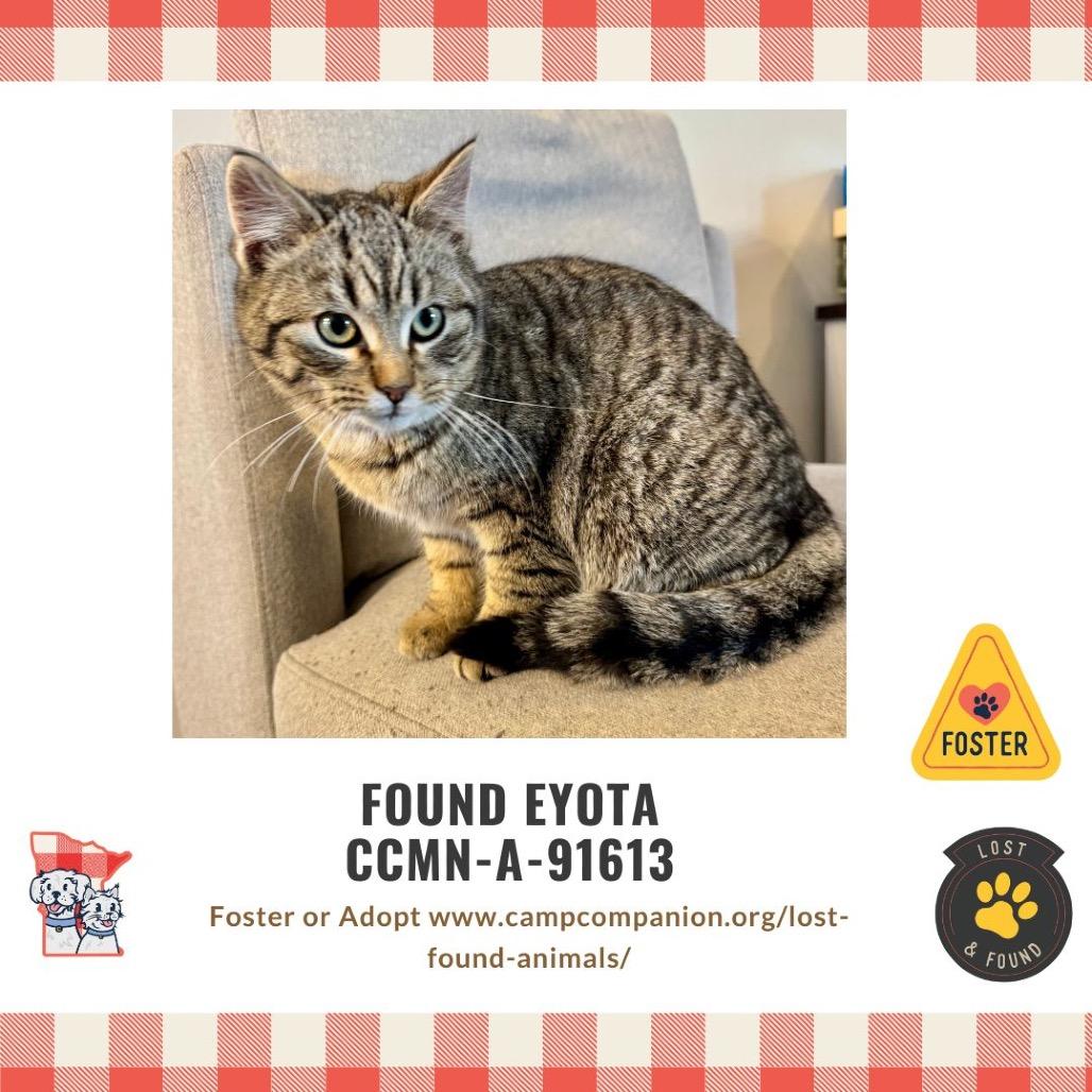 Loki — thumbnail 2