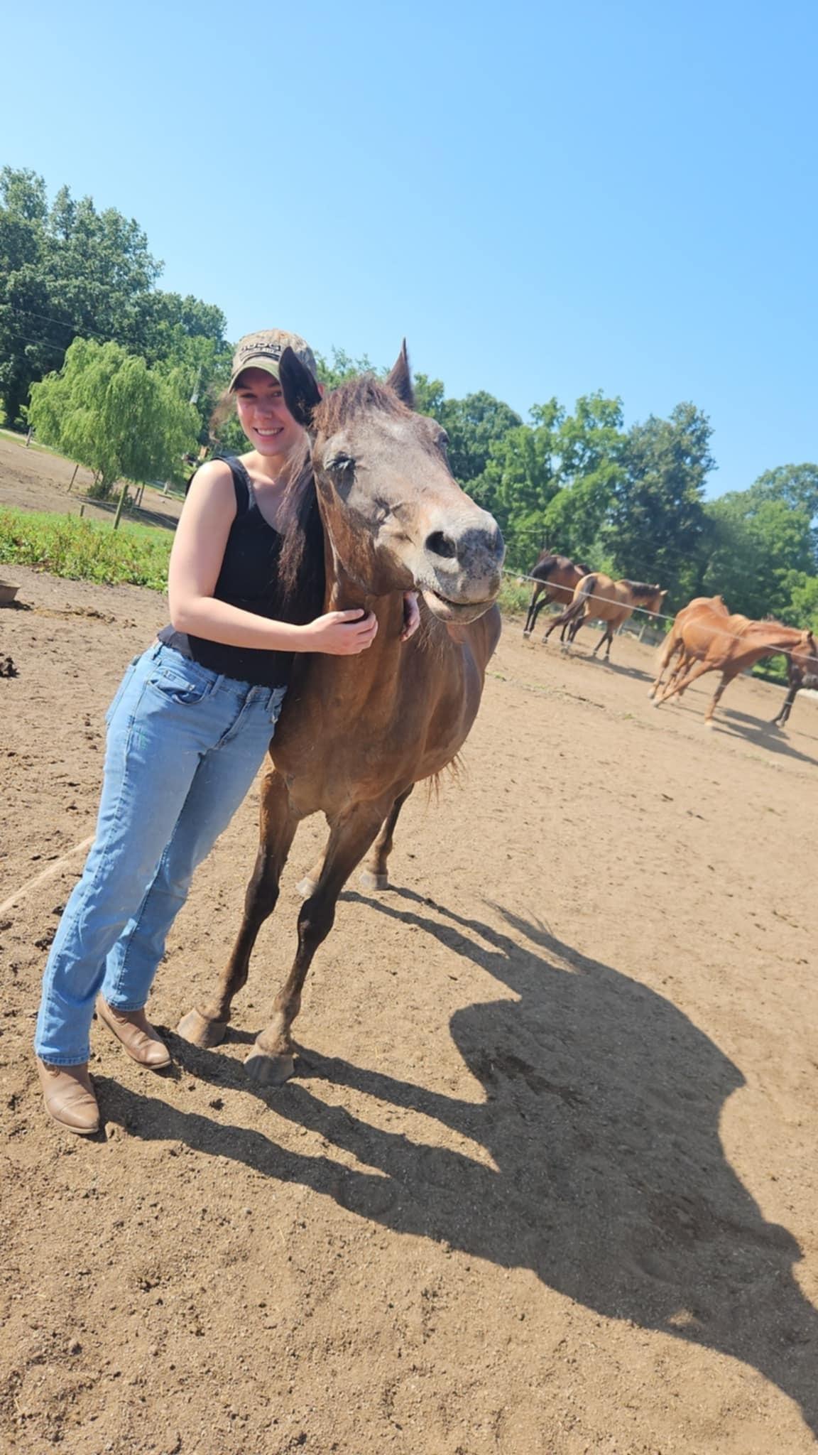 Sassy, Adoptable, Senior Female Appaloosa.
