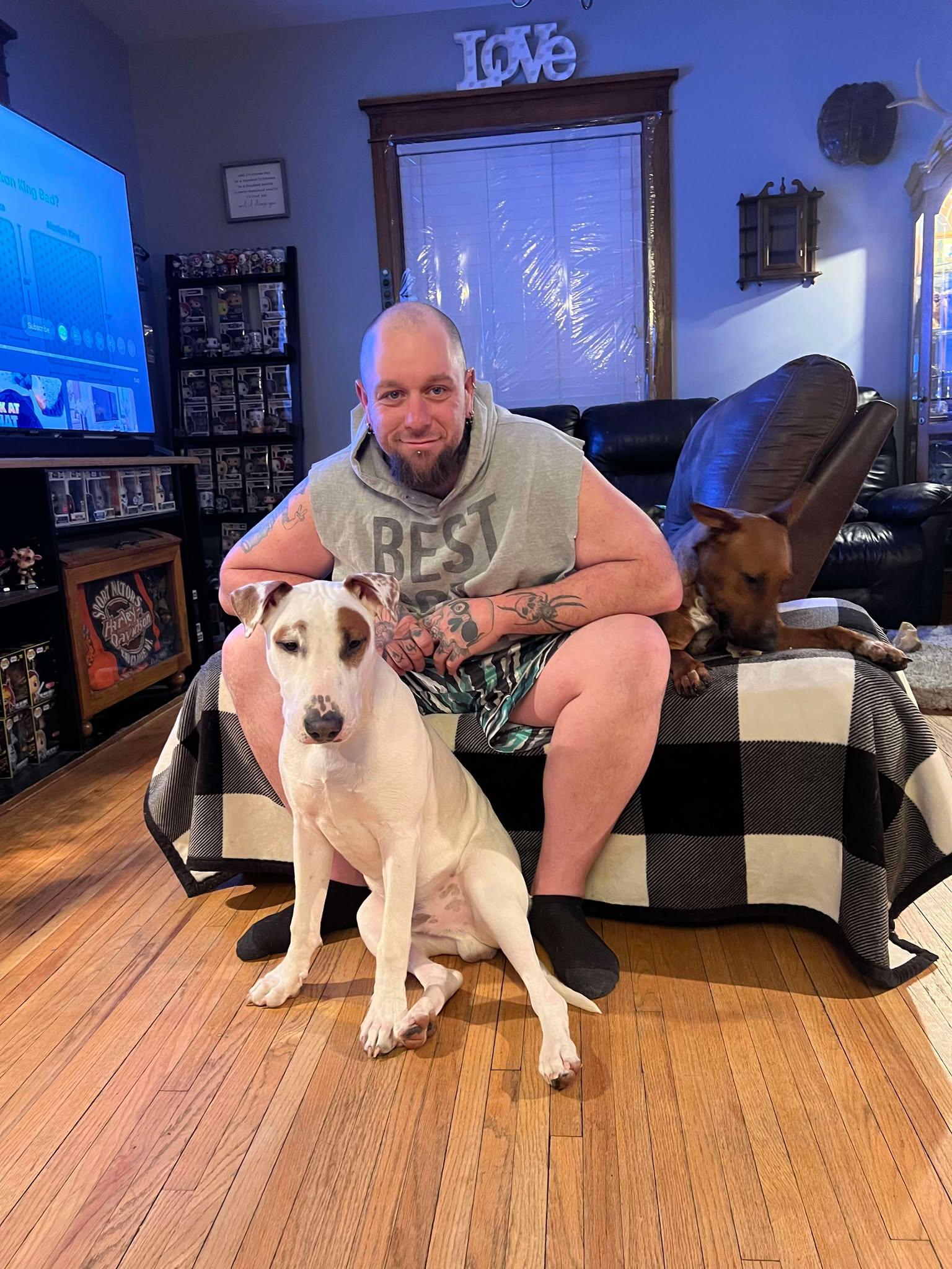 Manny, a Adoptable Bull Terrier in Waterloo, IA image 2/3