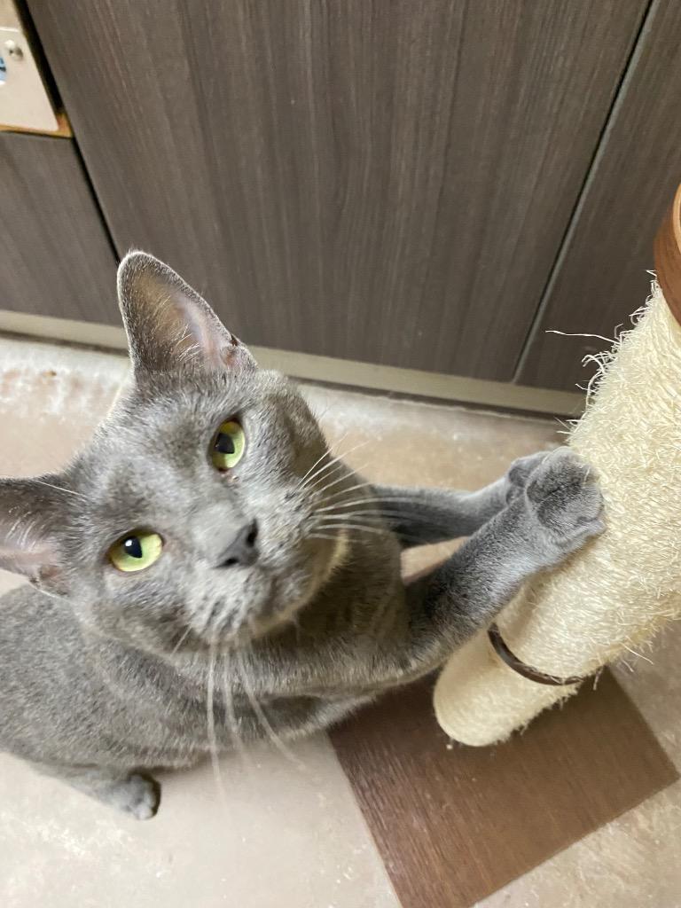 Slamdance thumbnail 3