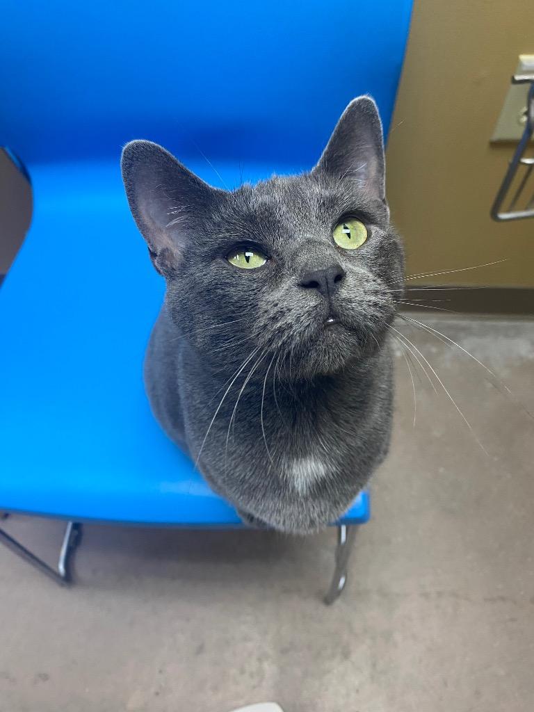 Slamdance thumbnail 5