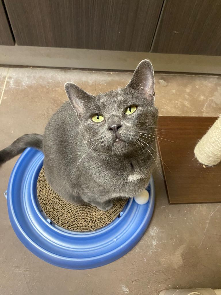 Slamdance thumbnail 6