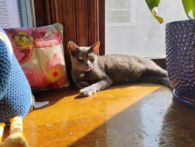 Slamdance thumbnail 7