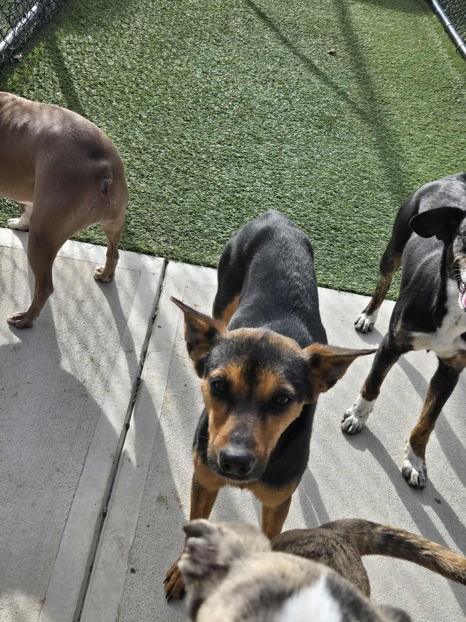 Winslett thumbnail 2