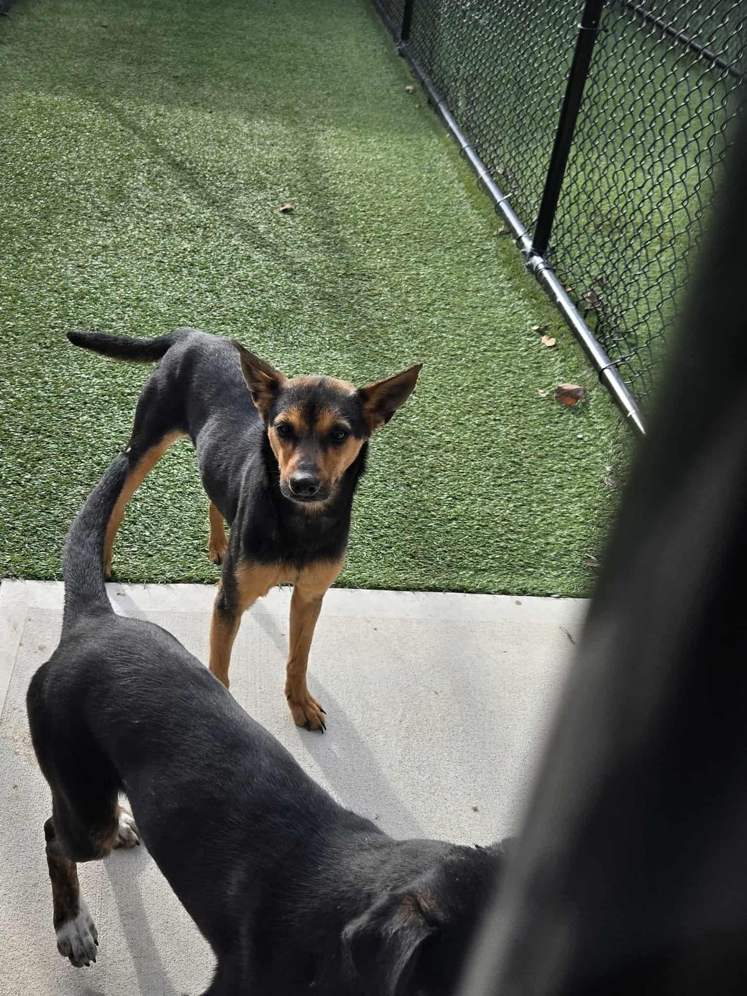 Winslett thumbnail 4