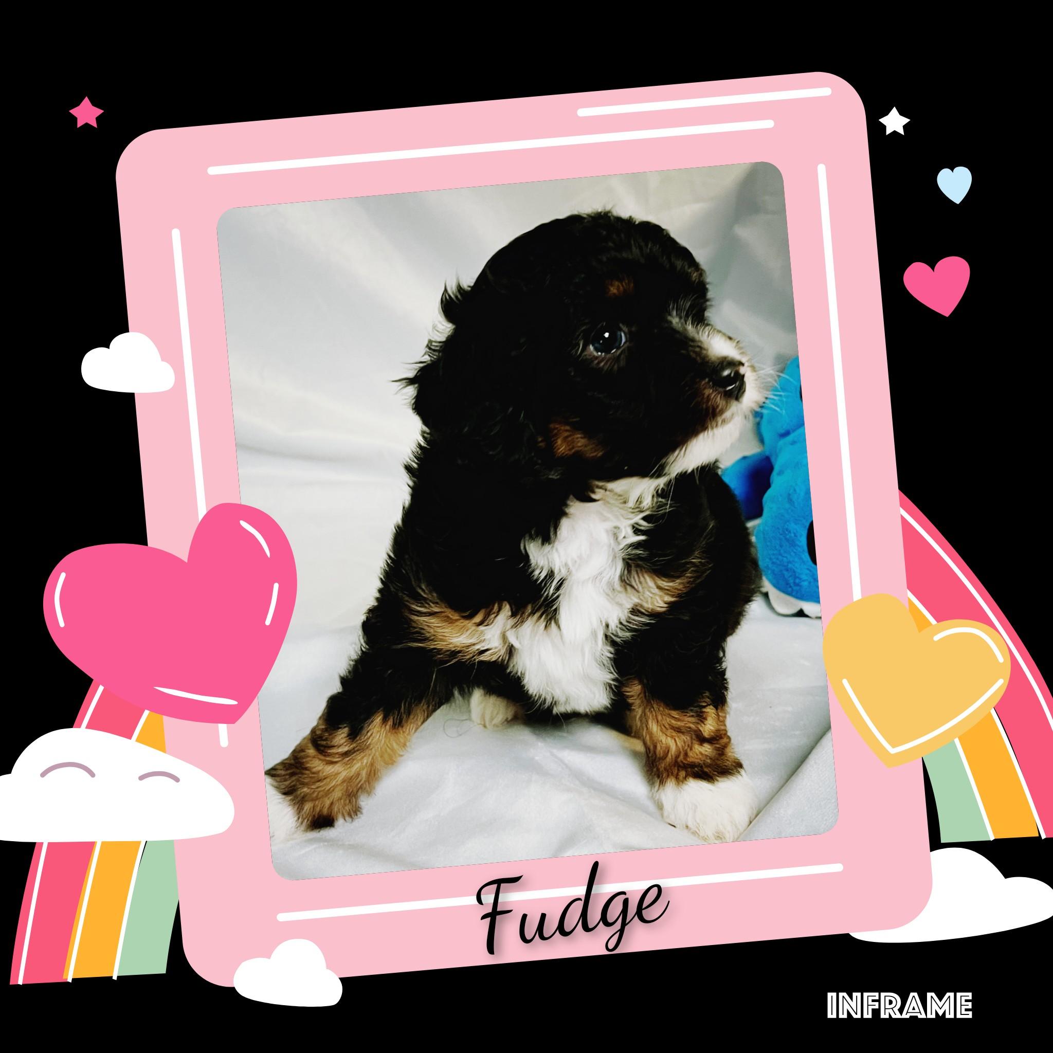 Fudge