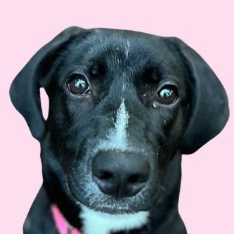 Nova, Young Female unknown