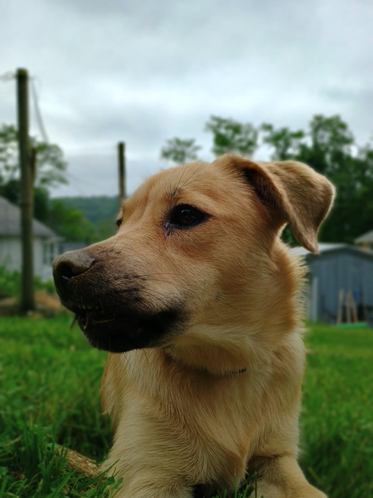 Runtz photo 2