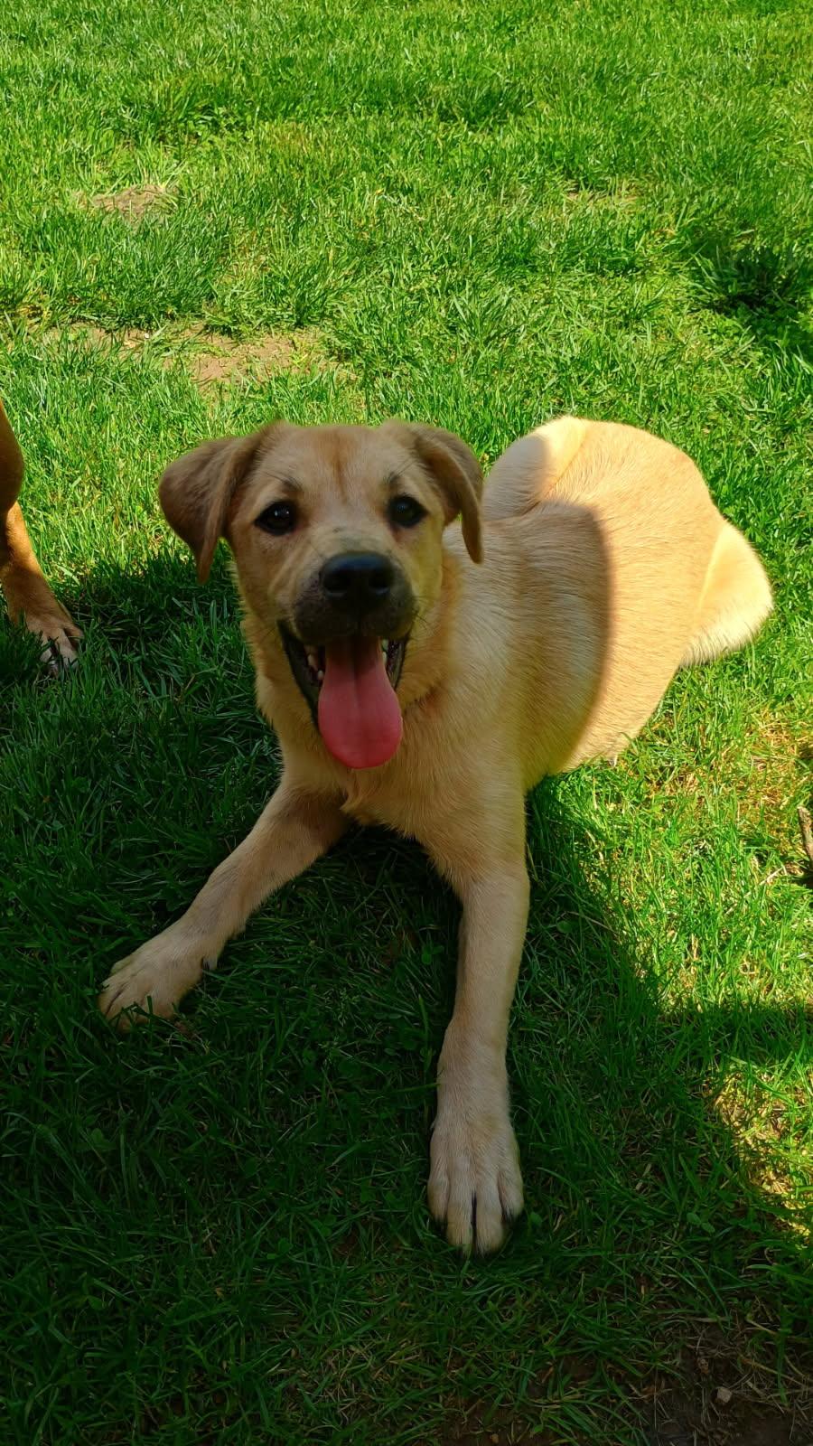 Runtz photo 4