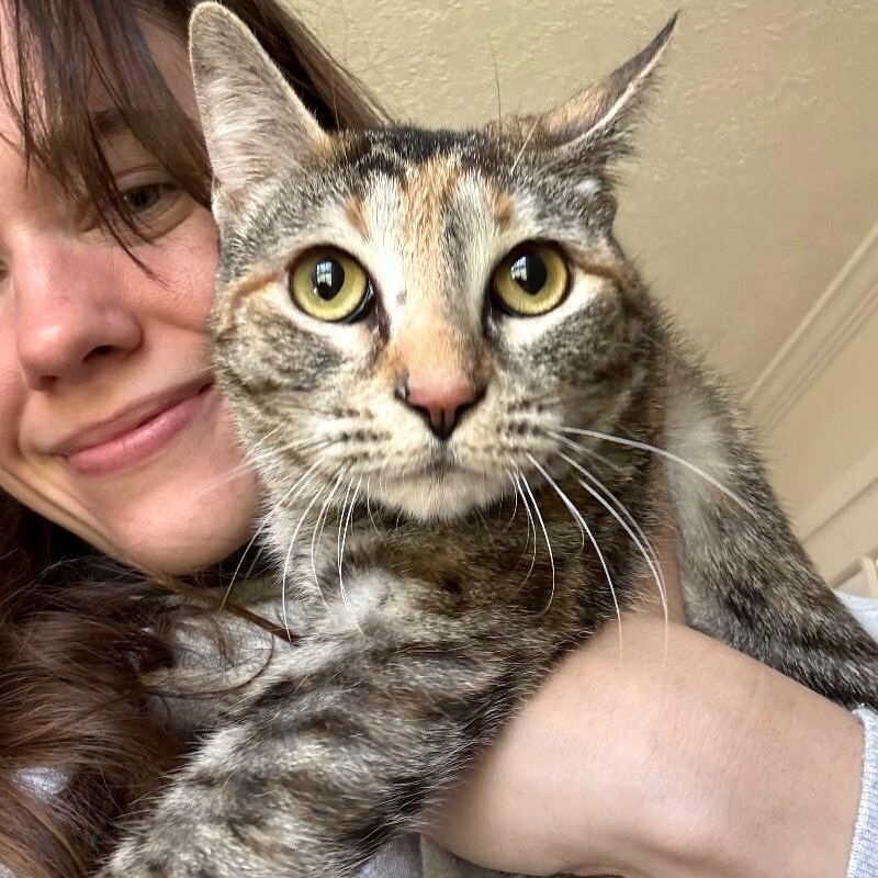 Dulcecita Caramel — thumbnail 4