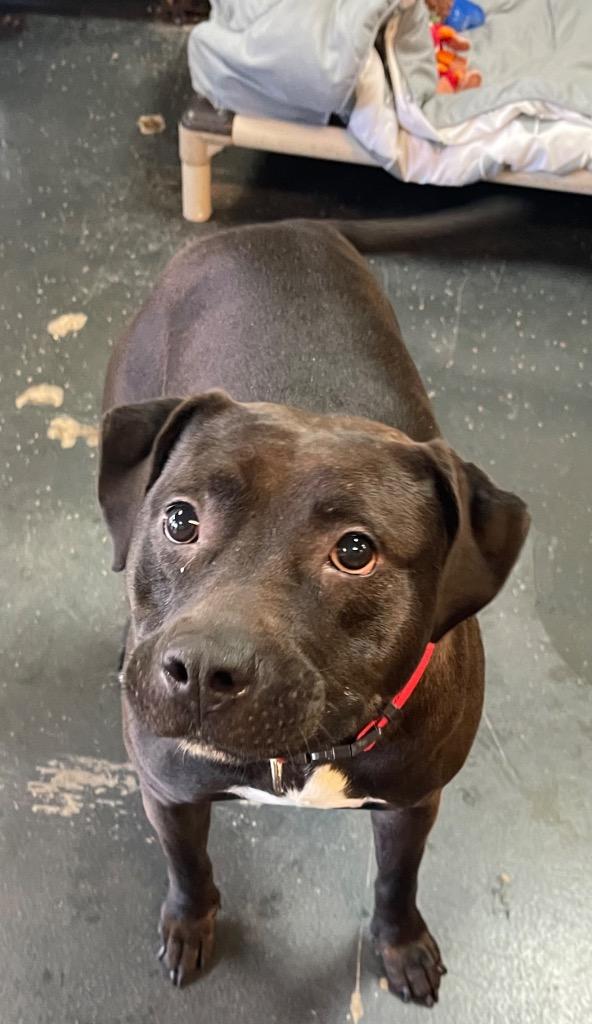 Reese — thumbnail 2