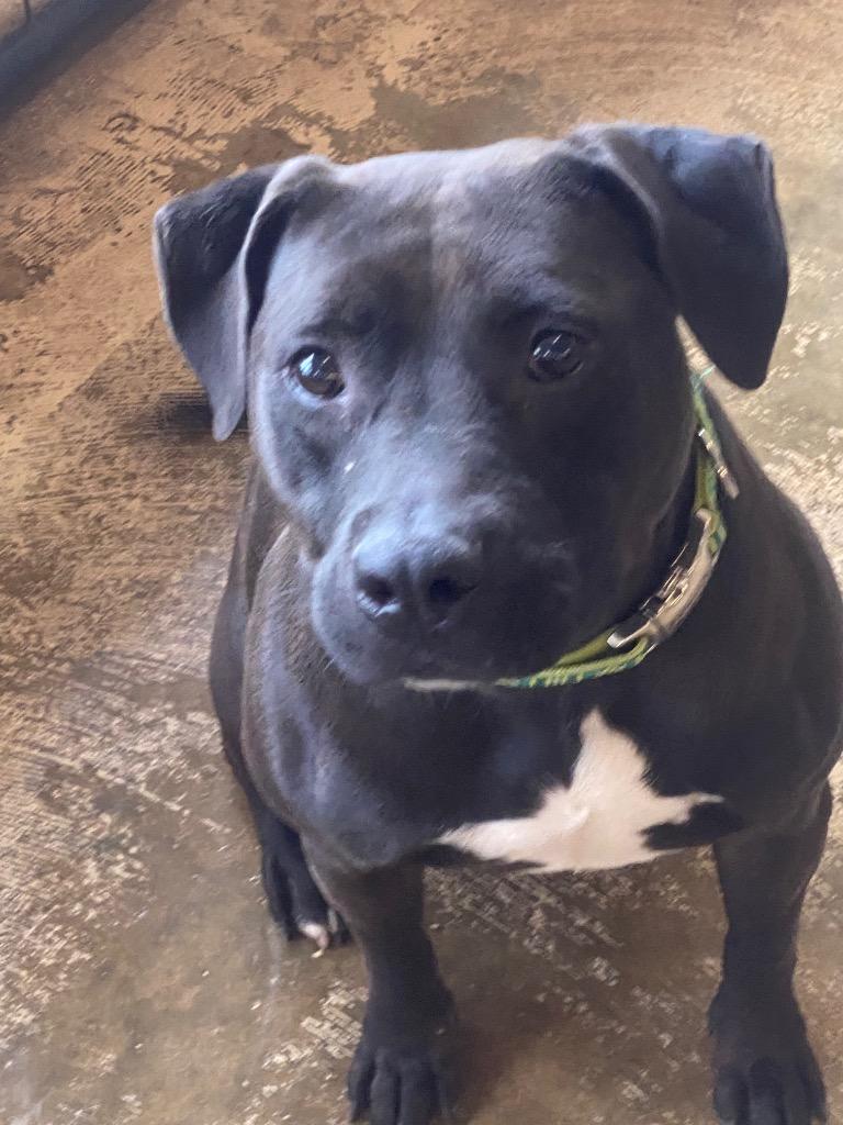 Reese — thumbnail 5