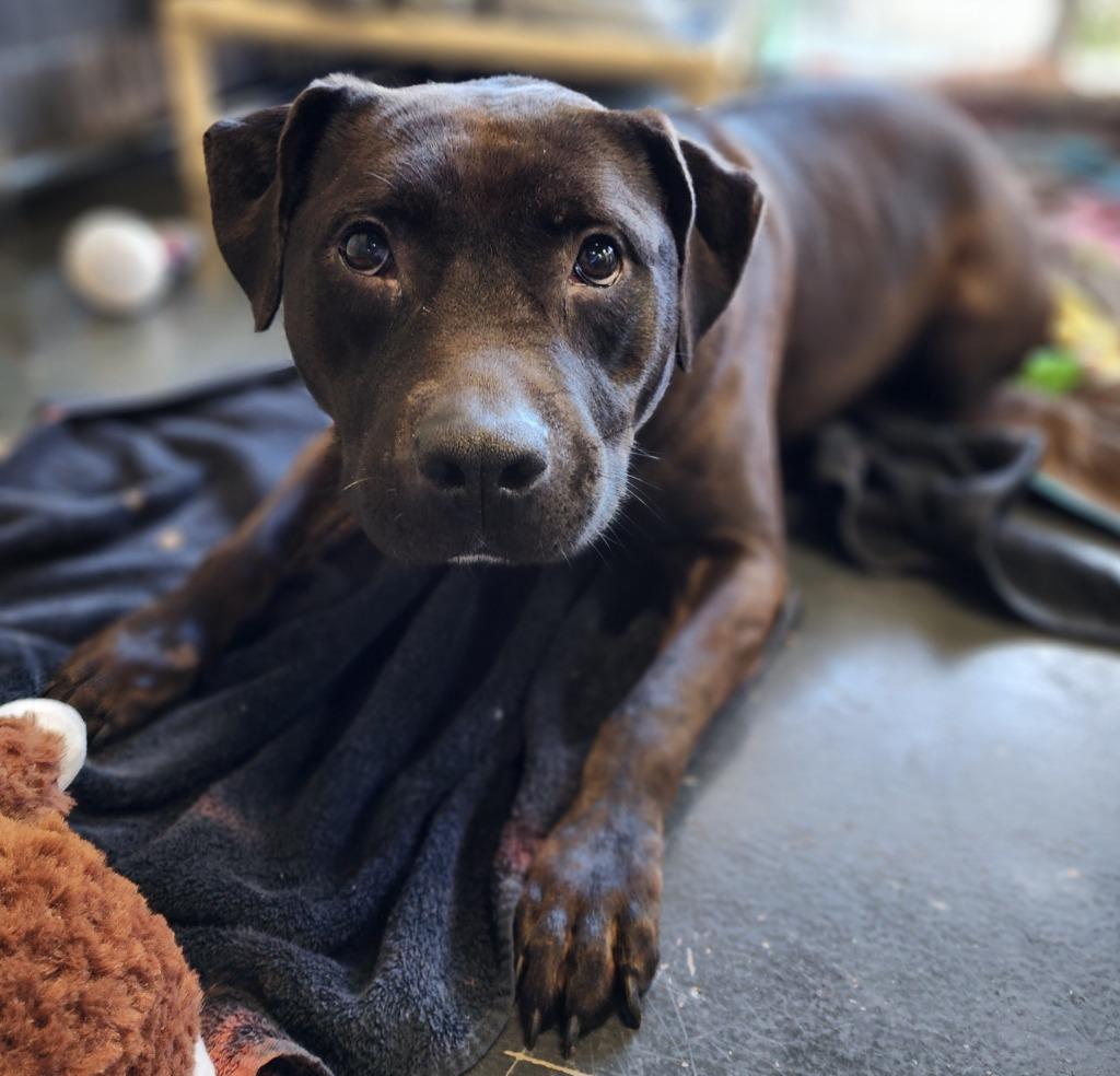 Reese — thumbnail 6