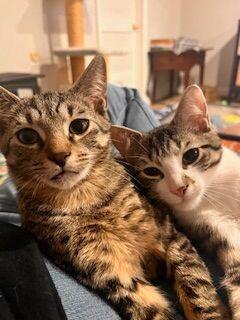 Julian — thumbnail 3