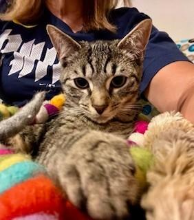 Julian — thumbnail 4