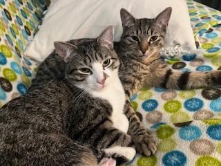 Julian — thumbnail 5