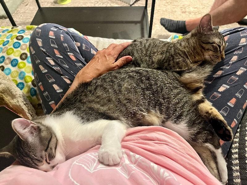 Julian — thumbnail 6