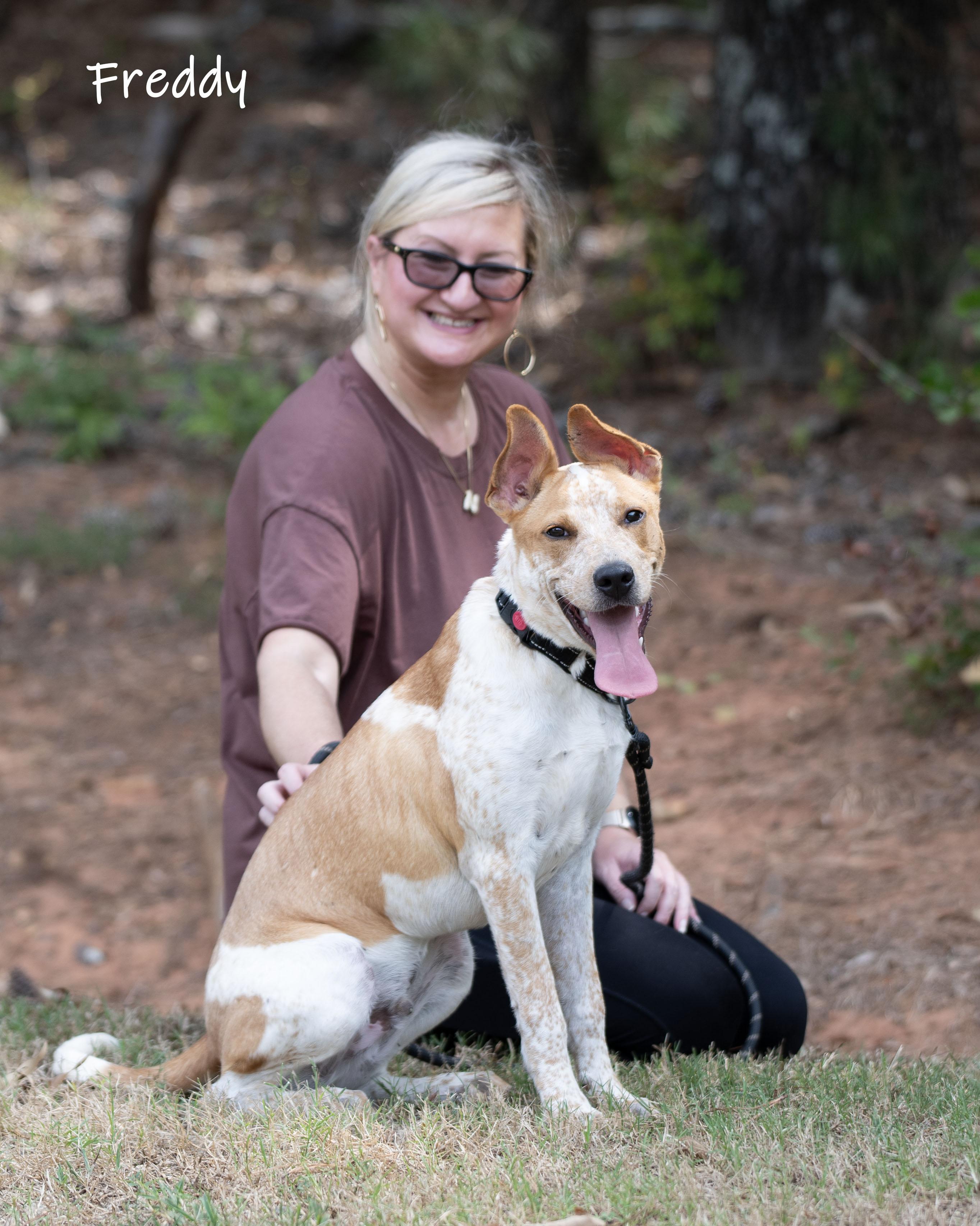 Enlarge Freddy, a Adoptable mixed breed in Bishop, GA image 4/6
