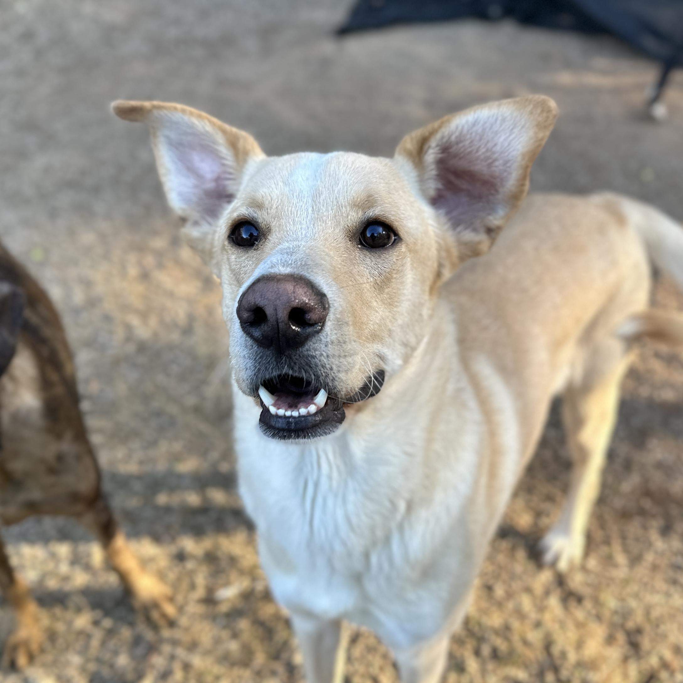 Keegan — thumbnail 2