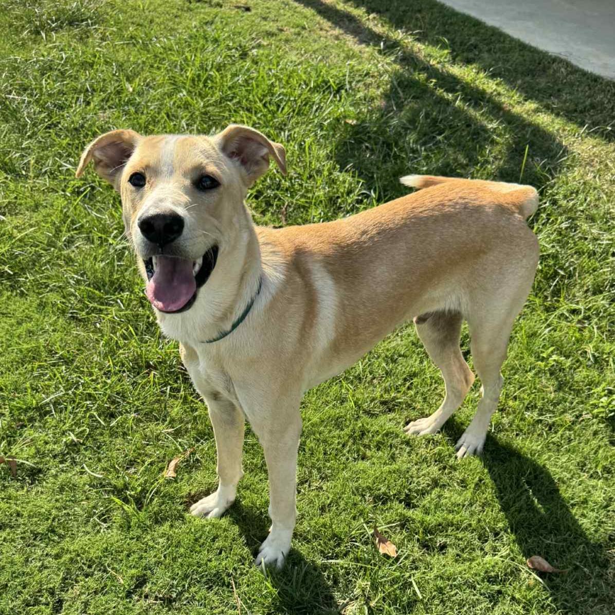 Keegan — thumbnail 3