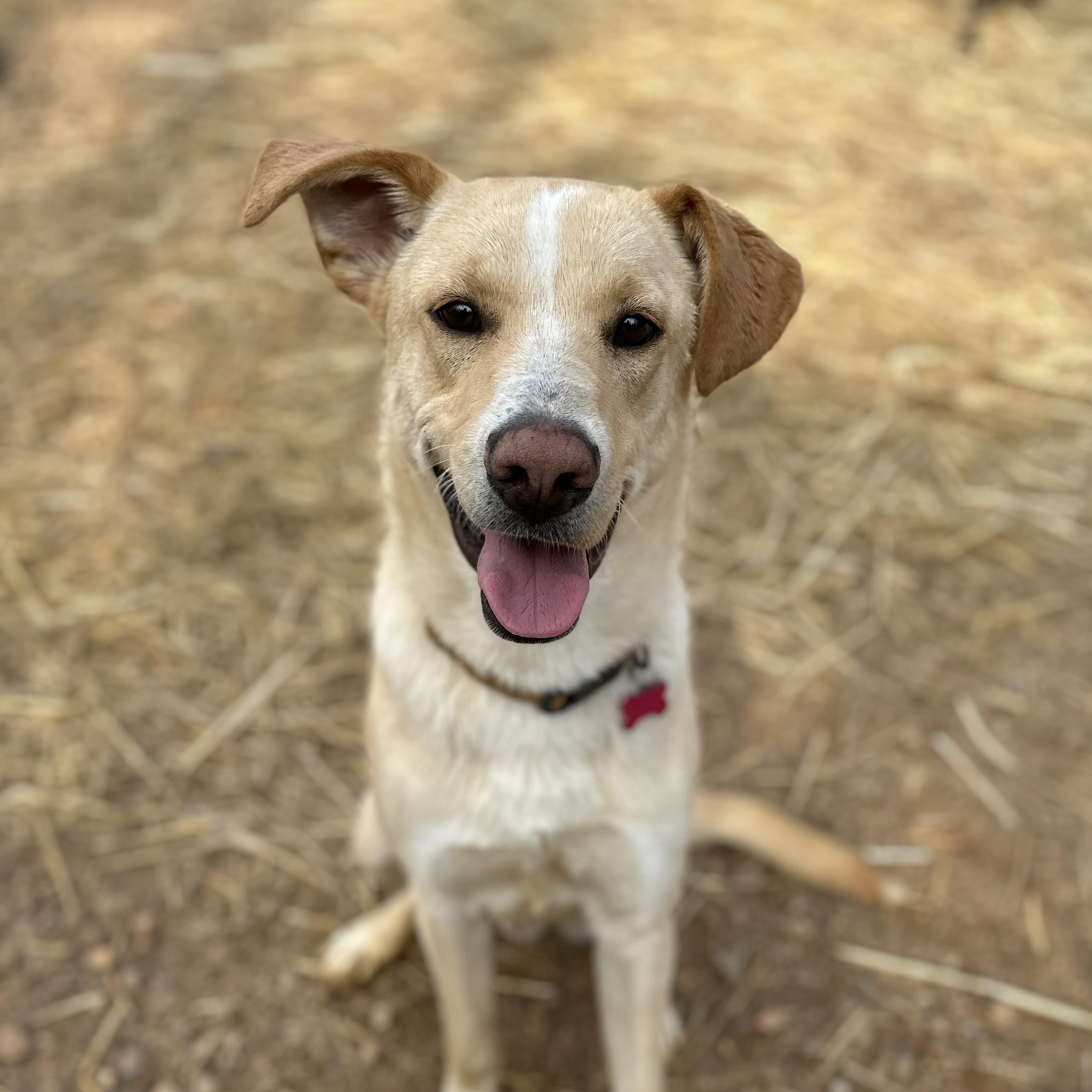 Keegan — thumbnail 4