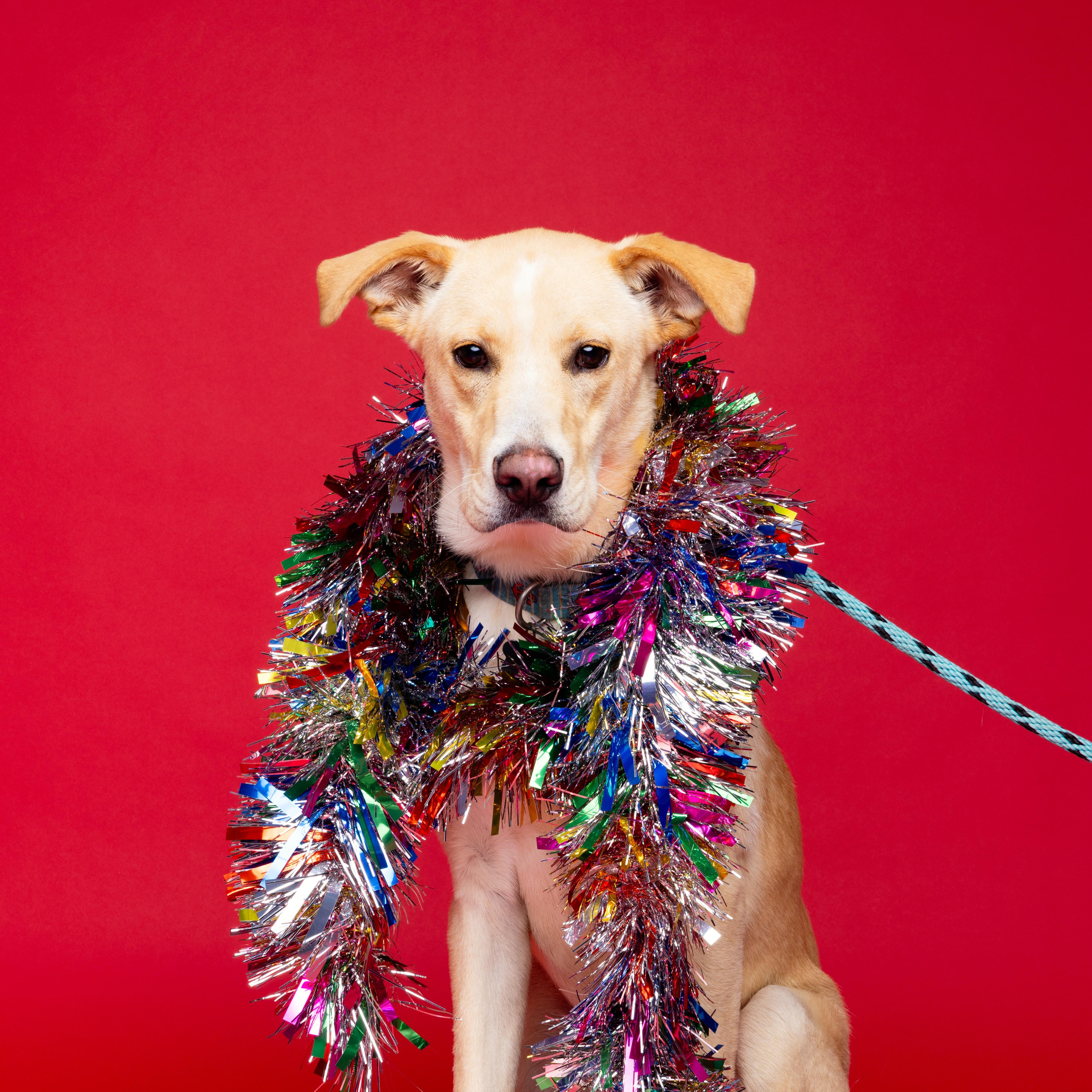 Keegan — thumbnail 5