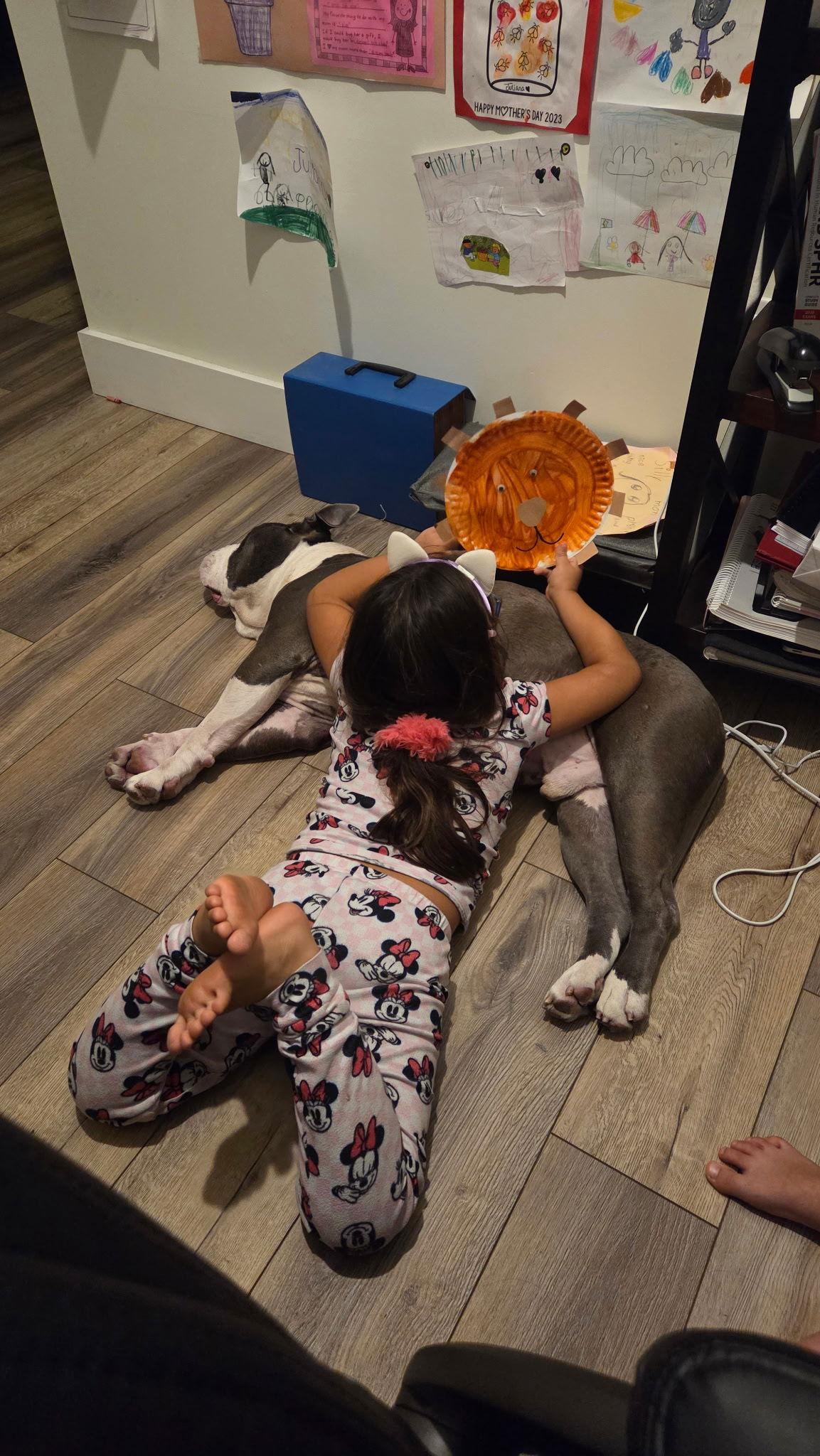 Enlarge NuNu, a Adoptable English Bulldog in Lighthouse Point, FL image 2/3