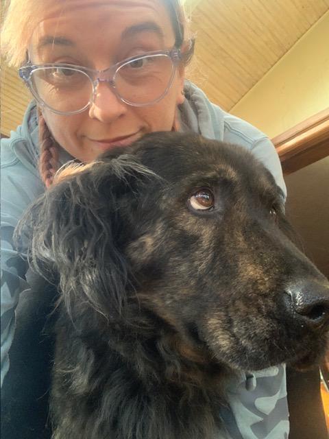 Enlarge Bear ---- Curtesy Listing for Senior in need of new home, a Adoptable mixed breed in Marietta, GA image 4/4