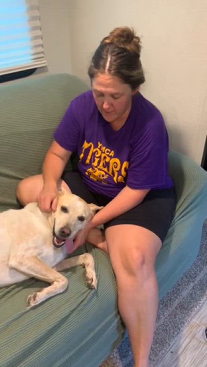 Enlarge Dixianna, a Adoptable mixed breed in Warwick, RI video 6/6