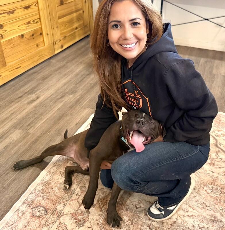 Preston Bunny Certified Squish Boya — thumbnail 5