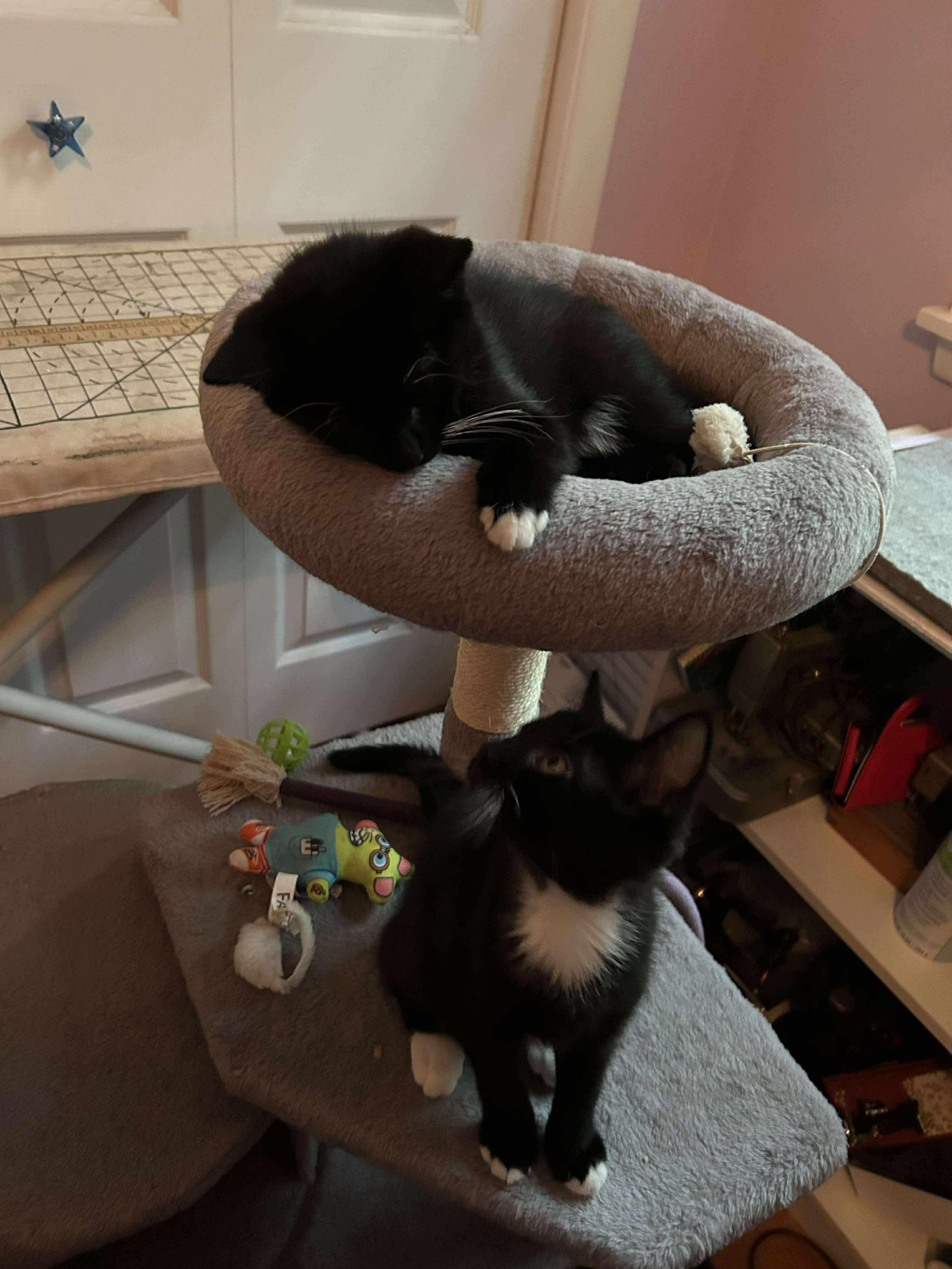 Acadia & Bryce