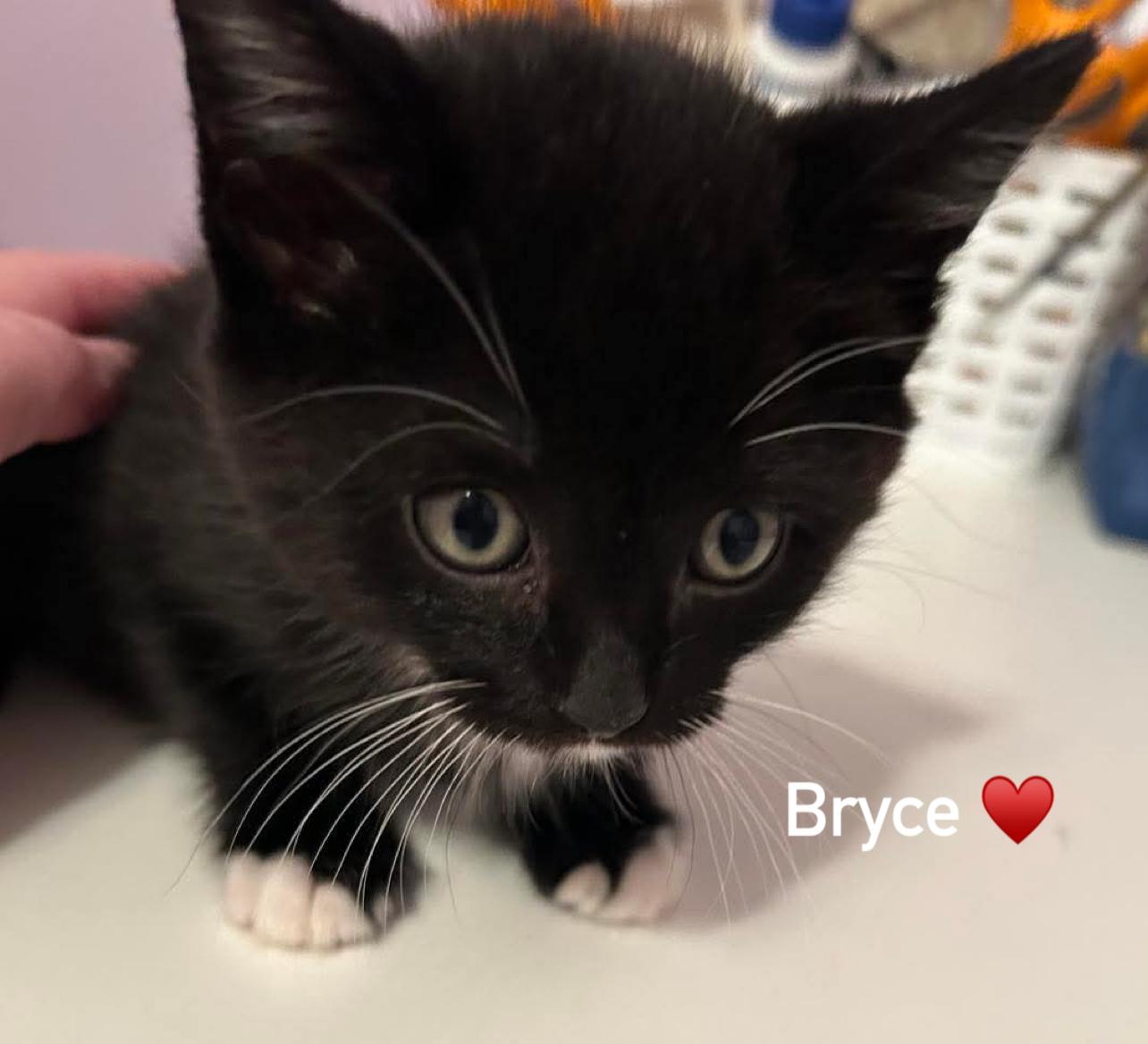 Acadia & Bryce