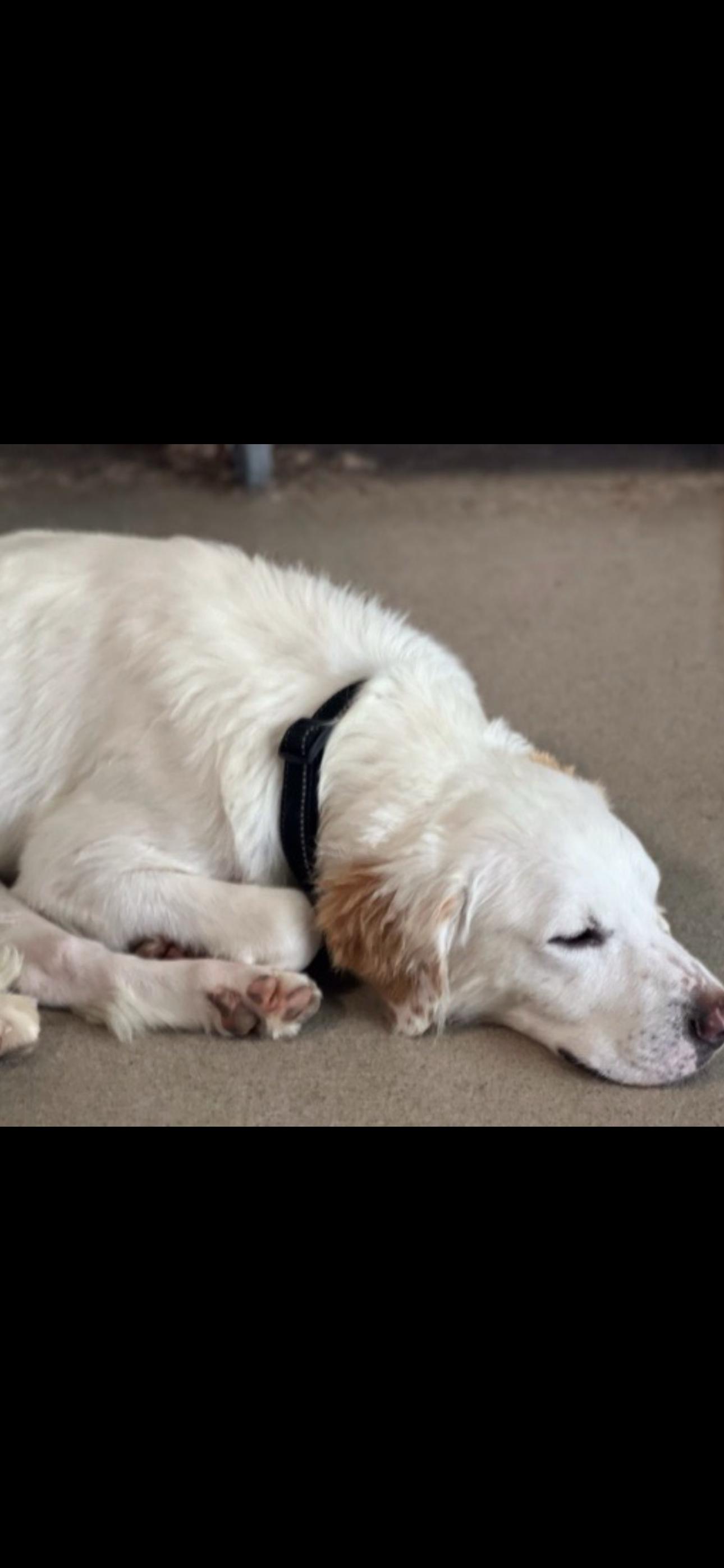 Smiley J Aka King thumbnail 2