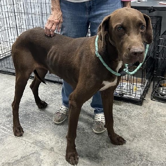 Lorraine thumbnail 2