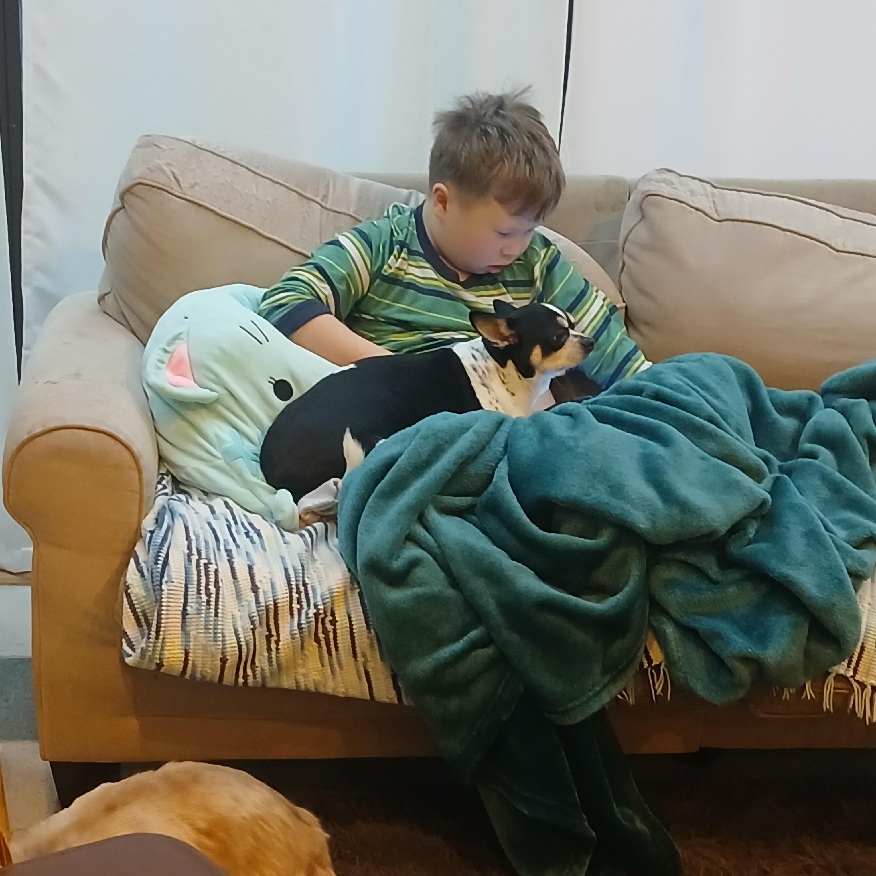 Enlarge Johnny, a Adoptable mixed breed in Haymarket, VA image 6/6