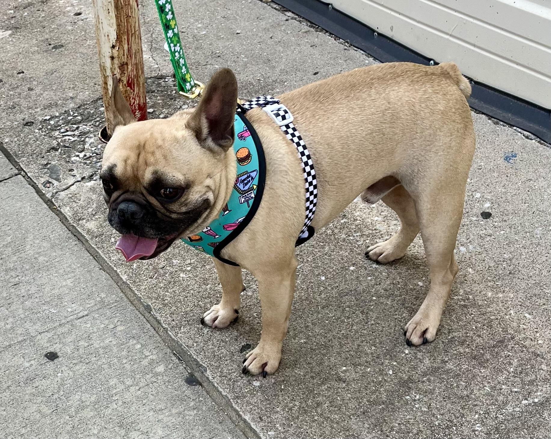 Walter
