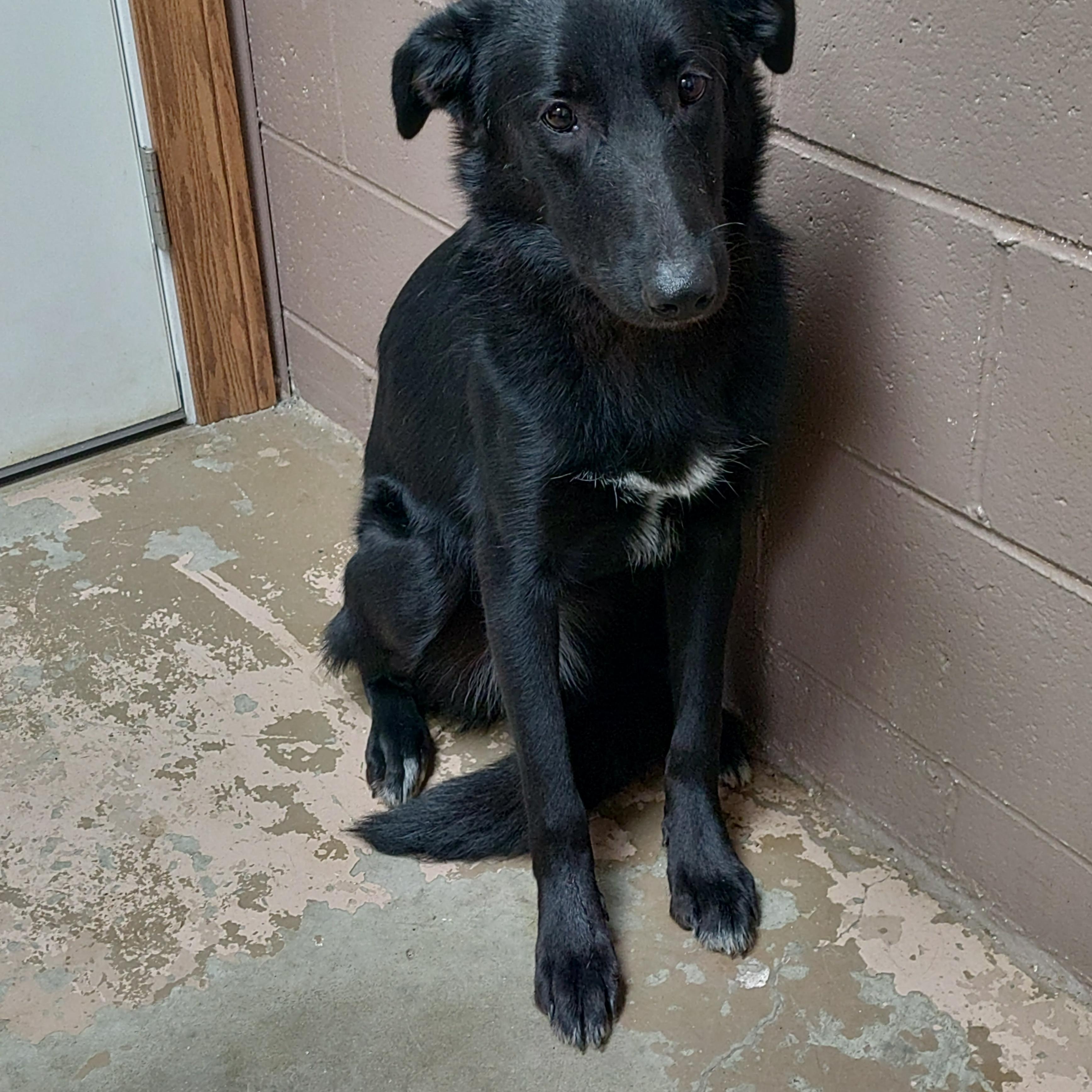 25-034 Available 3-13-25