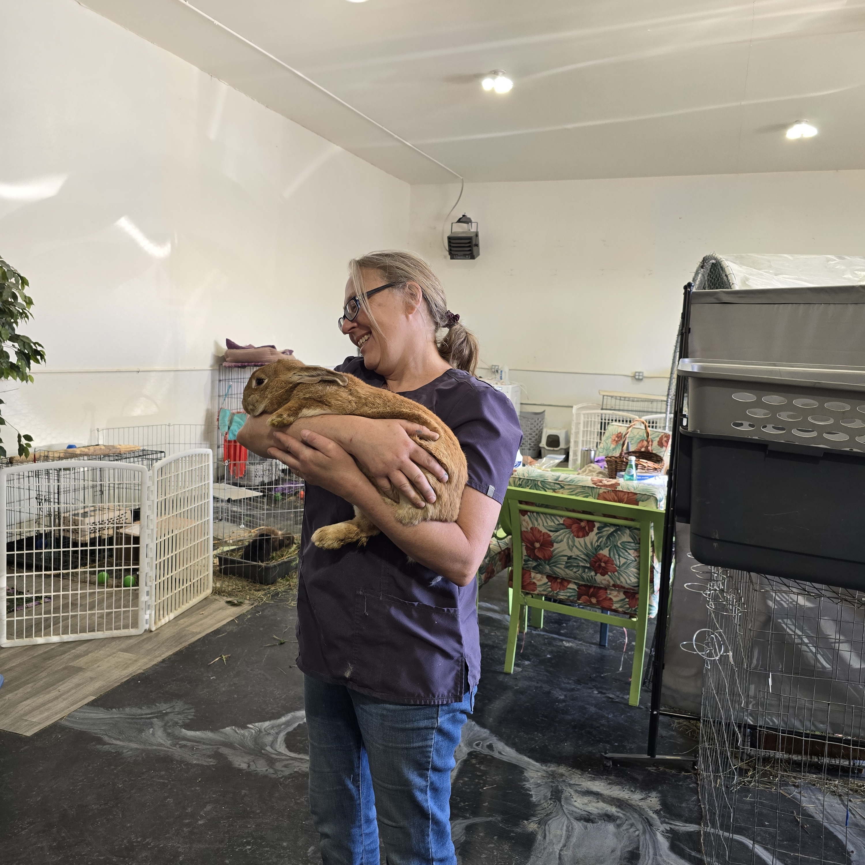 Ginger and Nala photo 6
