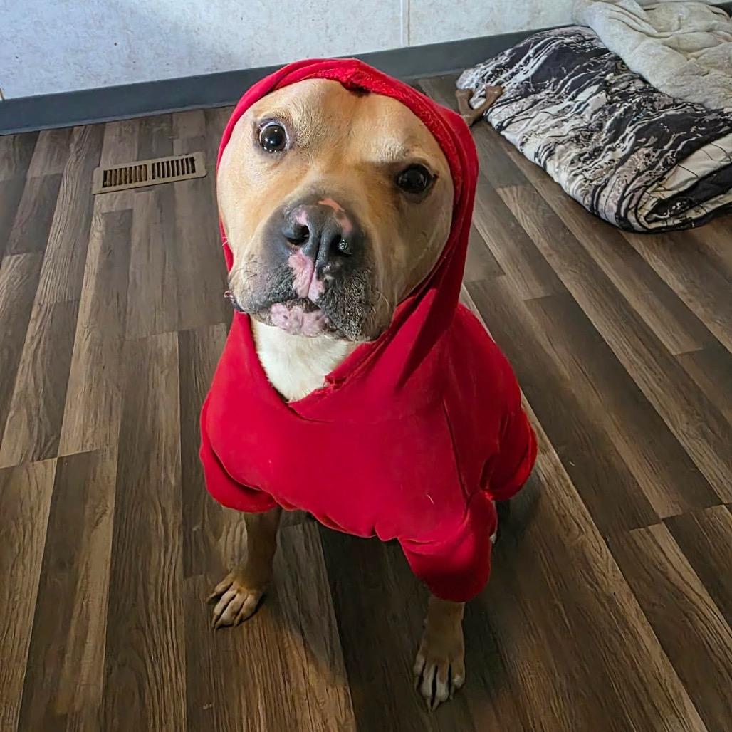 Mason JuM — thumbnail 4