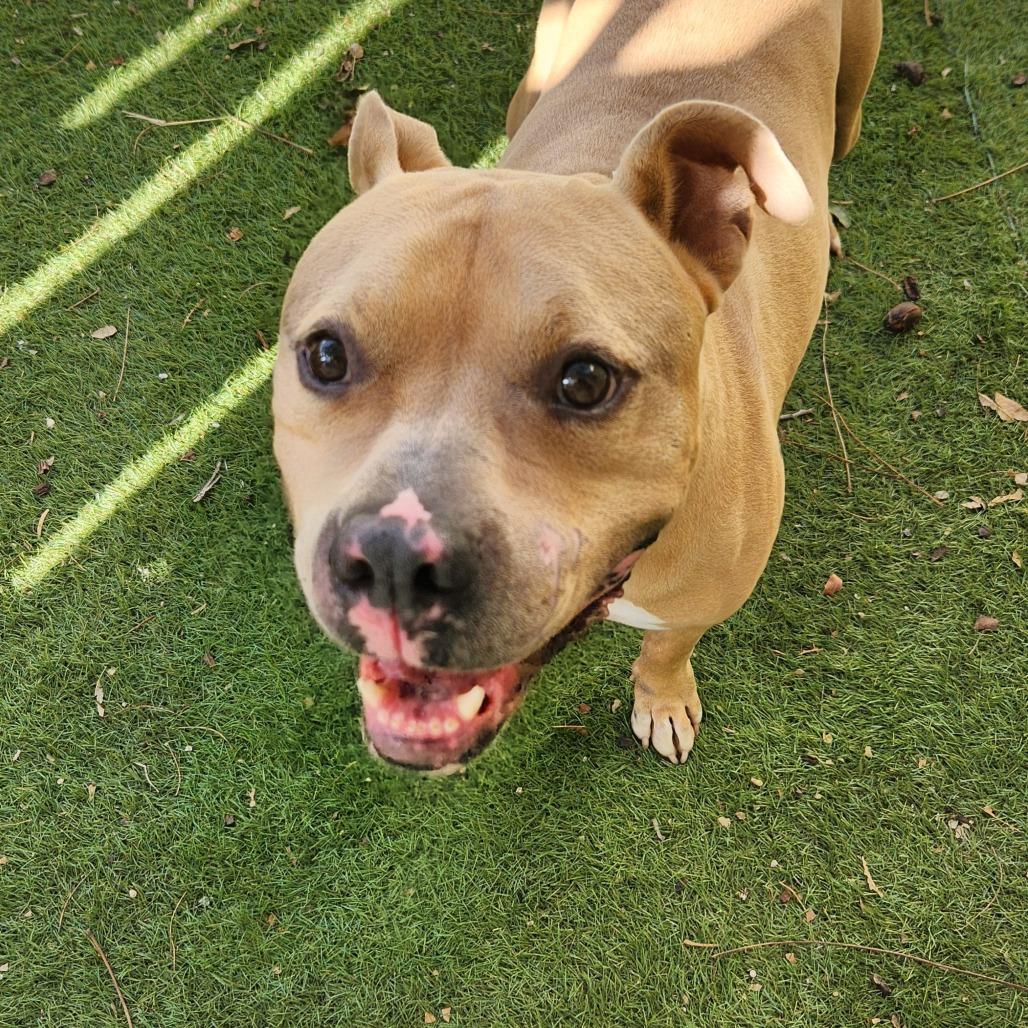 Mason JuM — thumbnail 5