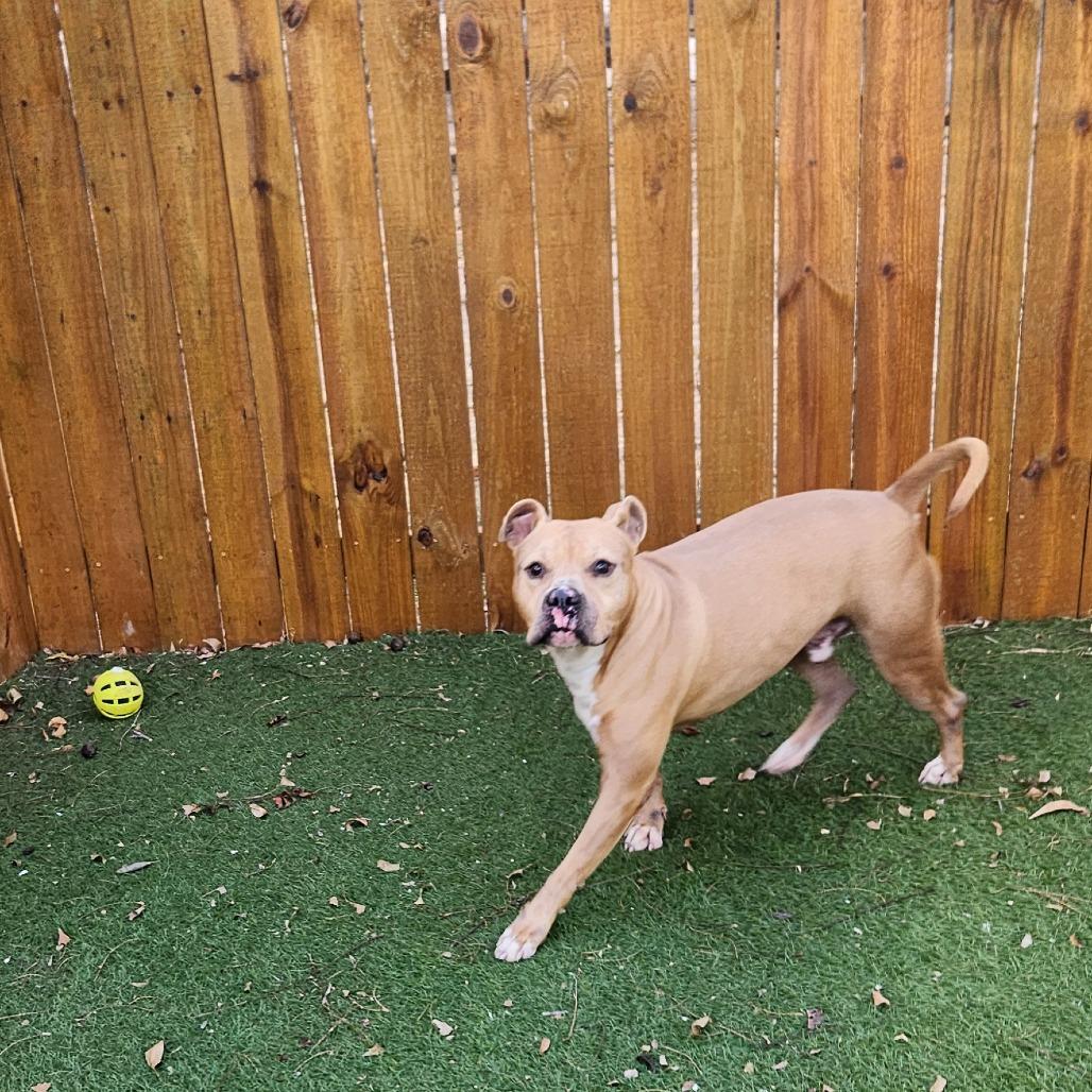 Mason JuM — thumbnail 6