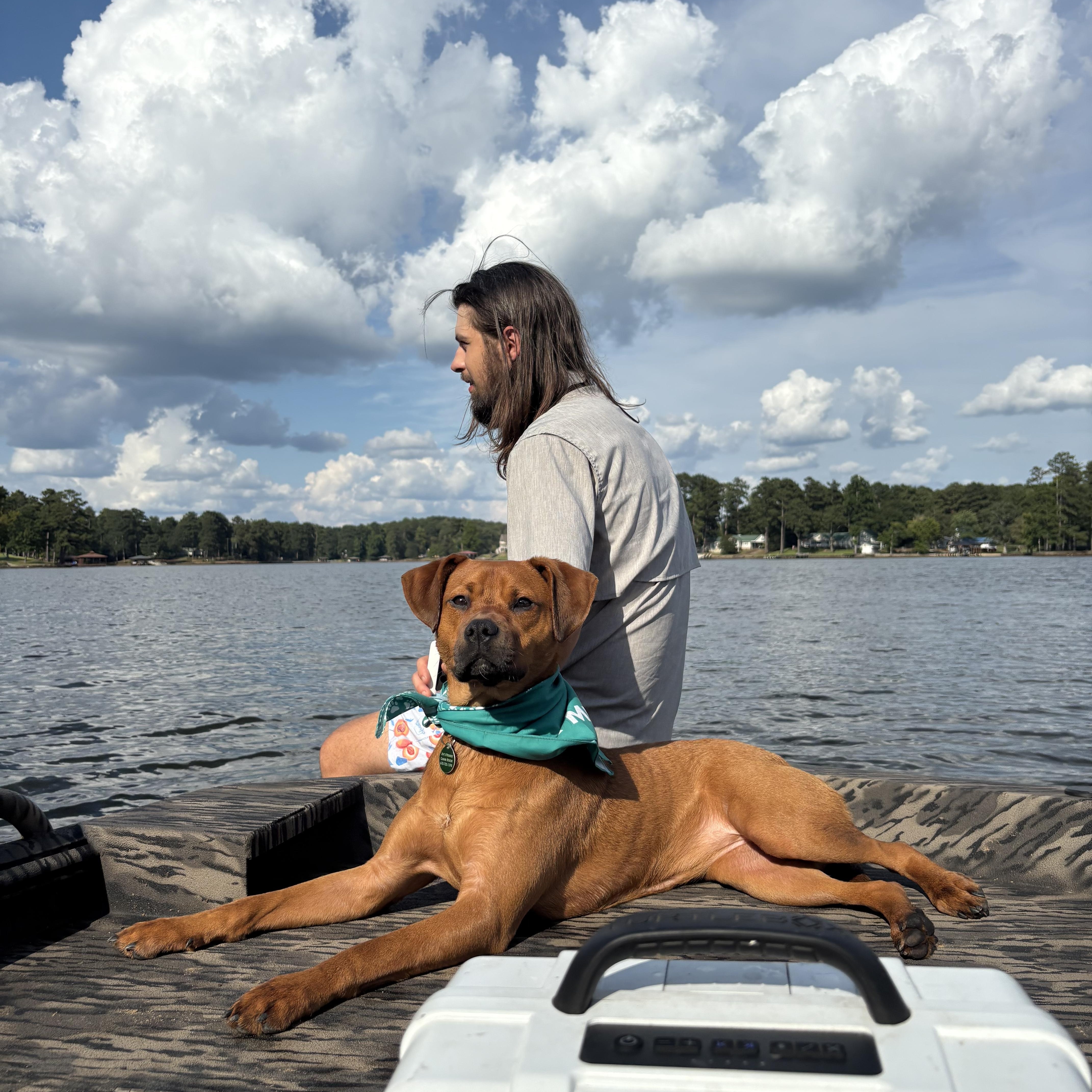 Enlarge Brownie, a Adopted mixed breed in Jackson, GA image 6/6
