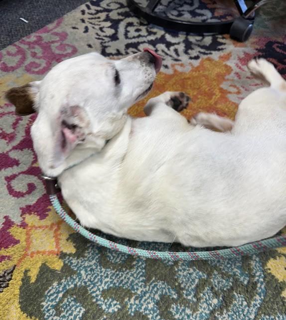 MAGGIE photo 3