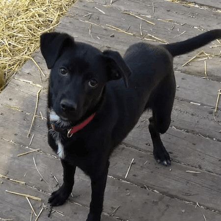 Sophia photo 2