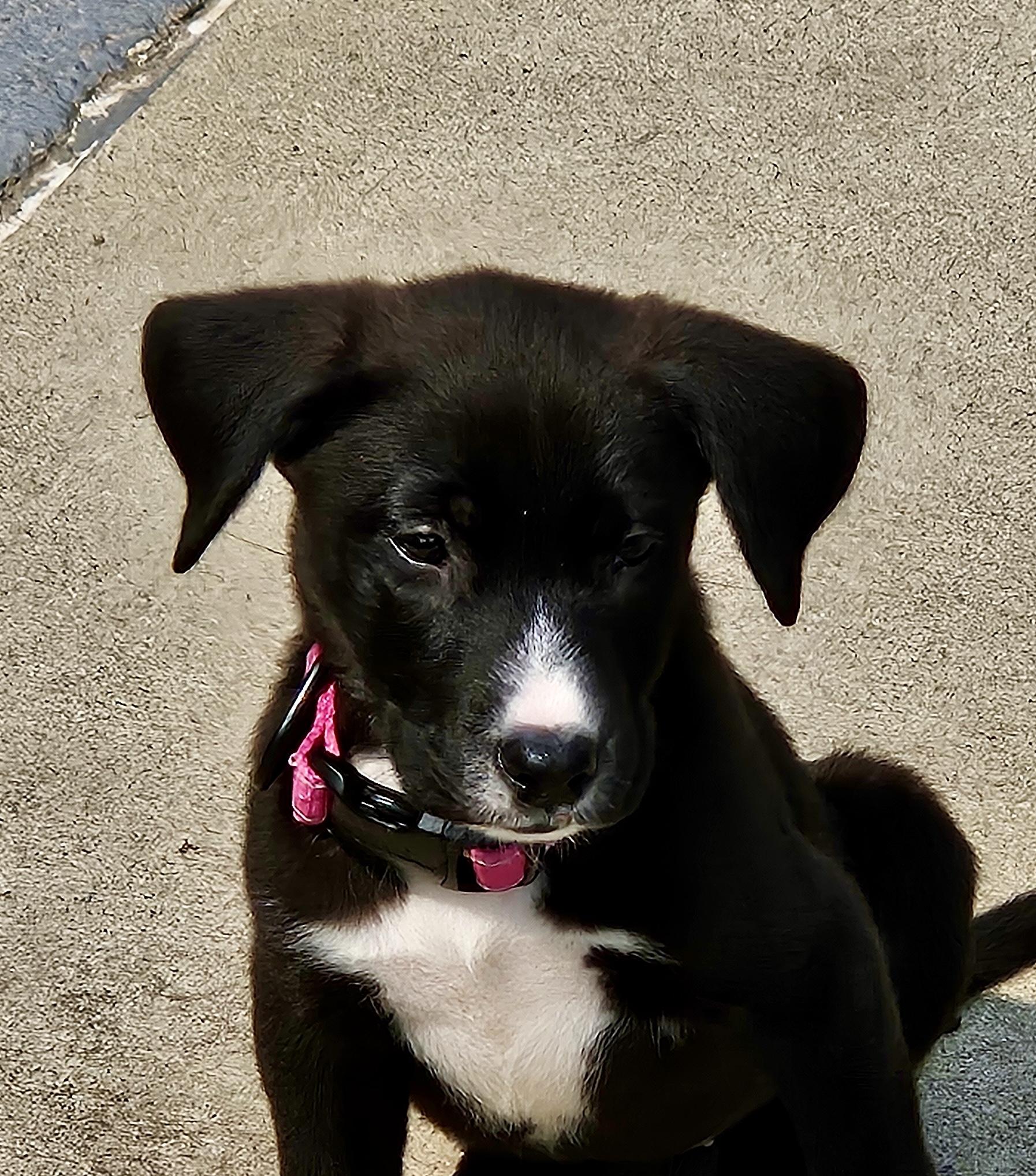 Luna