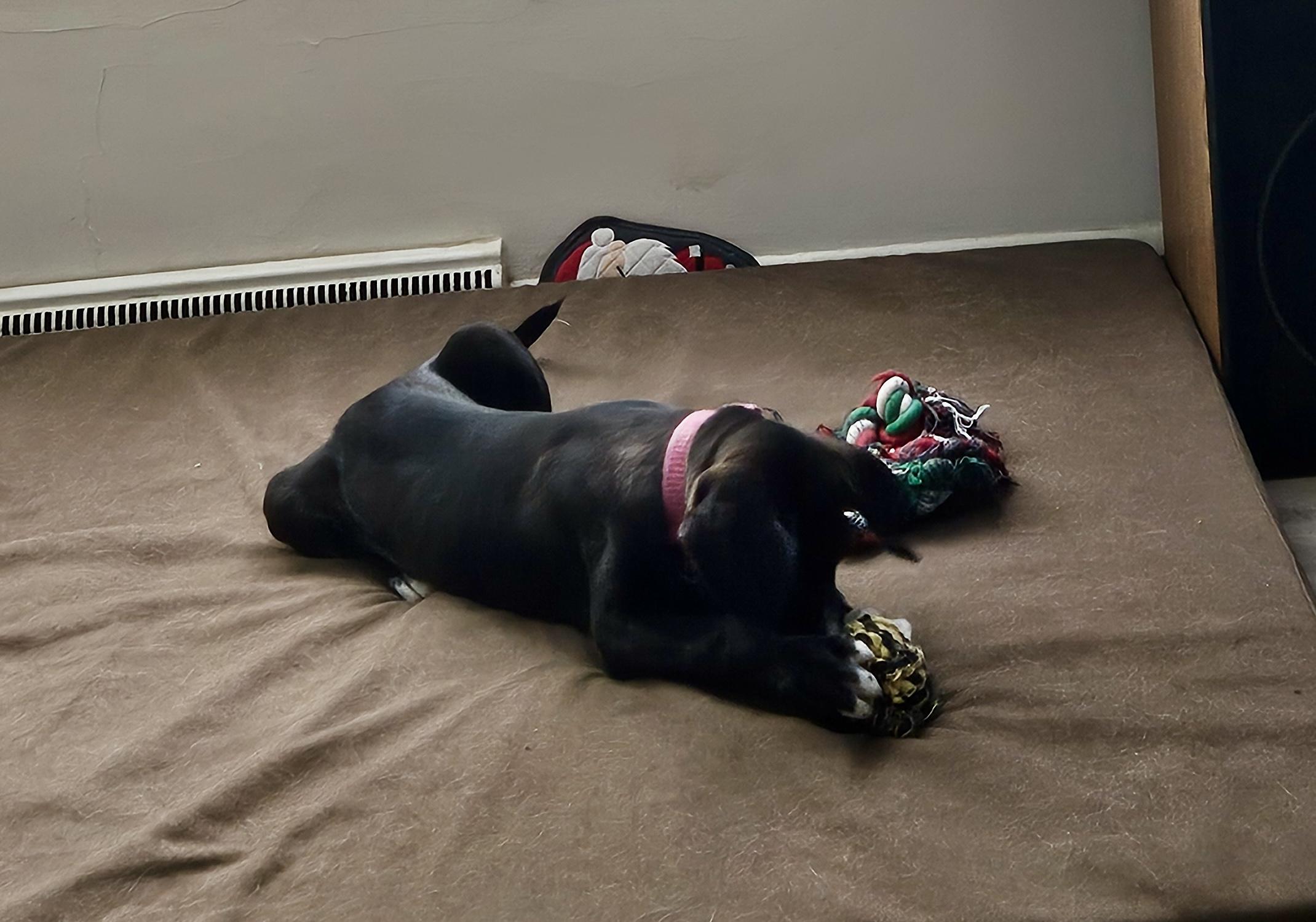 Luna